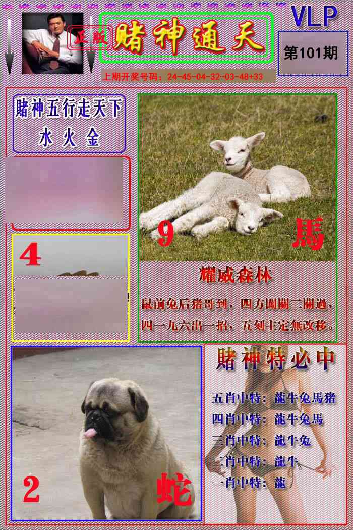 101期赌神通天报[图]